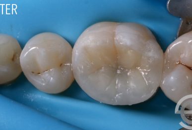 Dr Simon Chard - Image