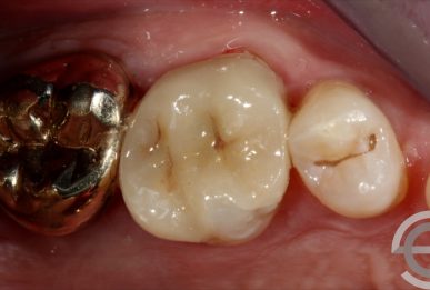 Dr Simon Chard - Image