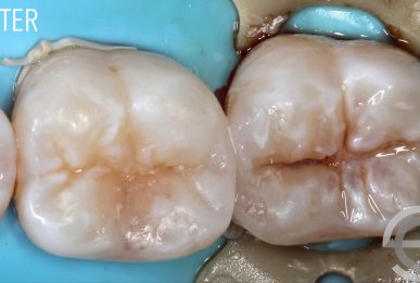 Dr Simon Chard - Image